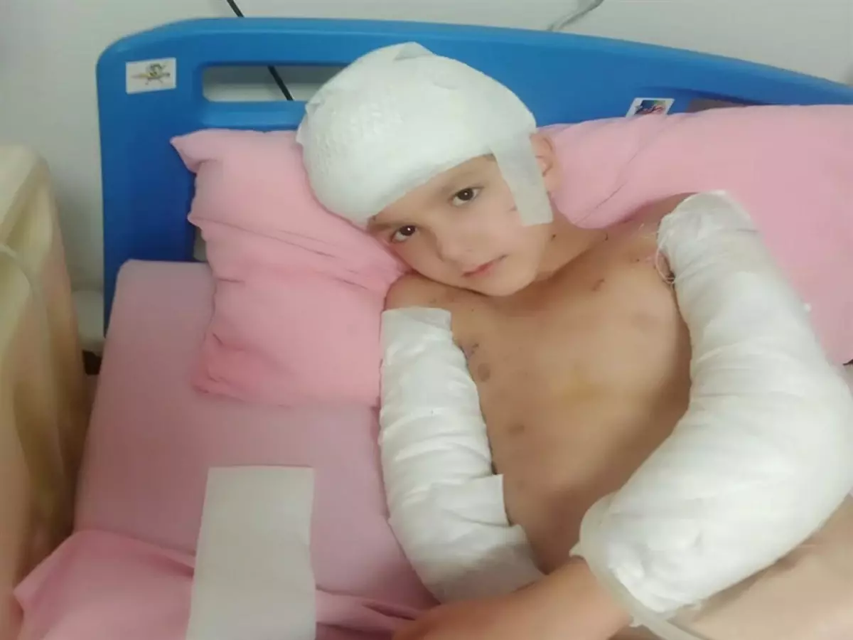 Sokak köpeklerinin saldırısında yaralanan Tunahan'ın ailesine, 5 milyon TL manevi tazminat ödenecek