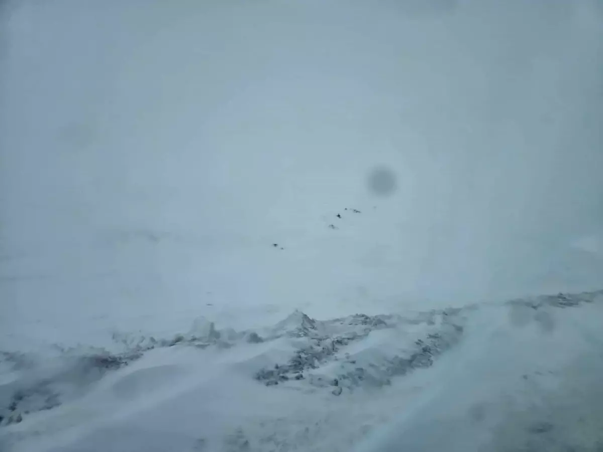 Van-Çatak kara yolu, çığ riski nedeniyle kapatıldı