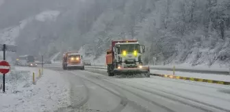 Zonguldak, Karabük ve Kocaeli'de kar etkili oldu