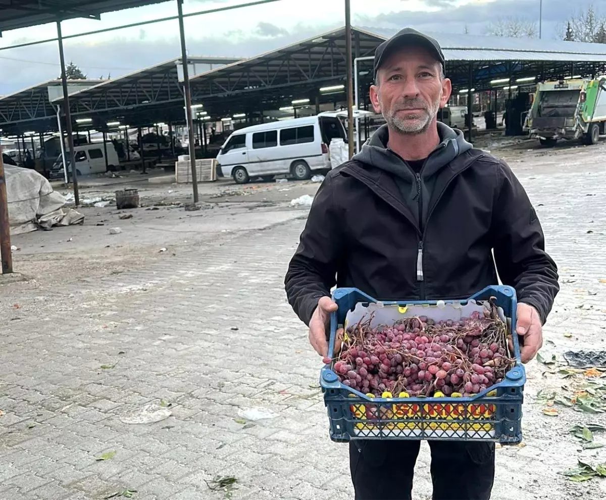 2025 yılı üzümlerini 2026'da bitirdi