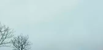 Salıpazarı'nda kuvvetli rüzgar etkili oldu