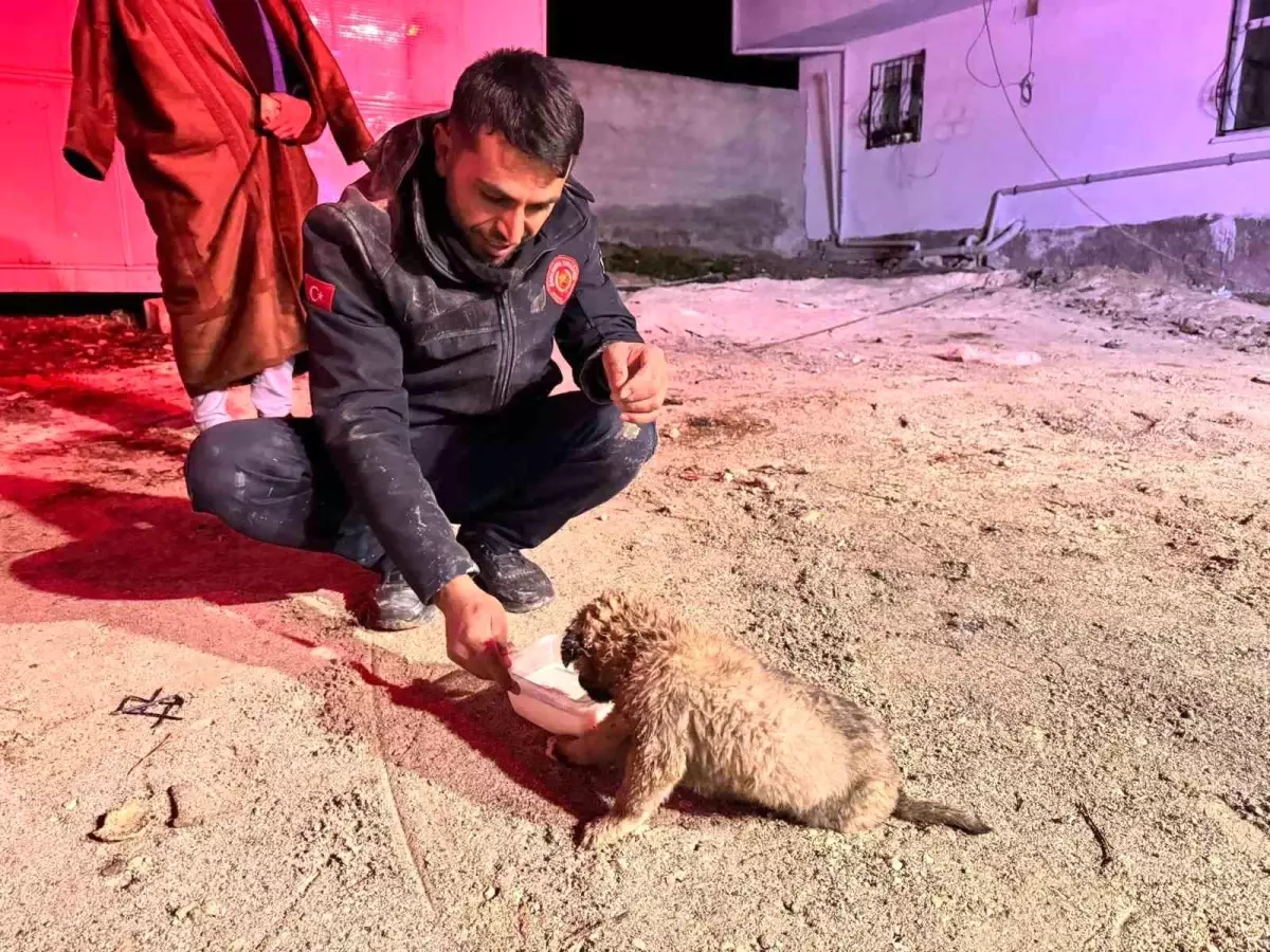 Şanlıurfa'da 20 metrelik sondaj kuyusuna düşen yavru köpek kurtarıldı