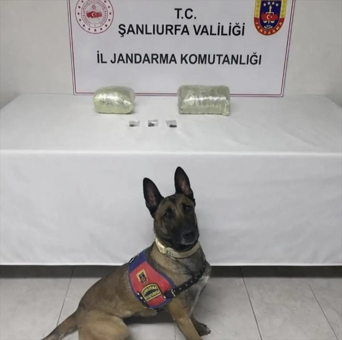 Şanlıurfa'da uyuşturucu operasyonunda 1 şüpheli yakalandı