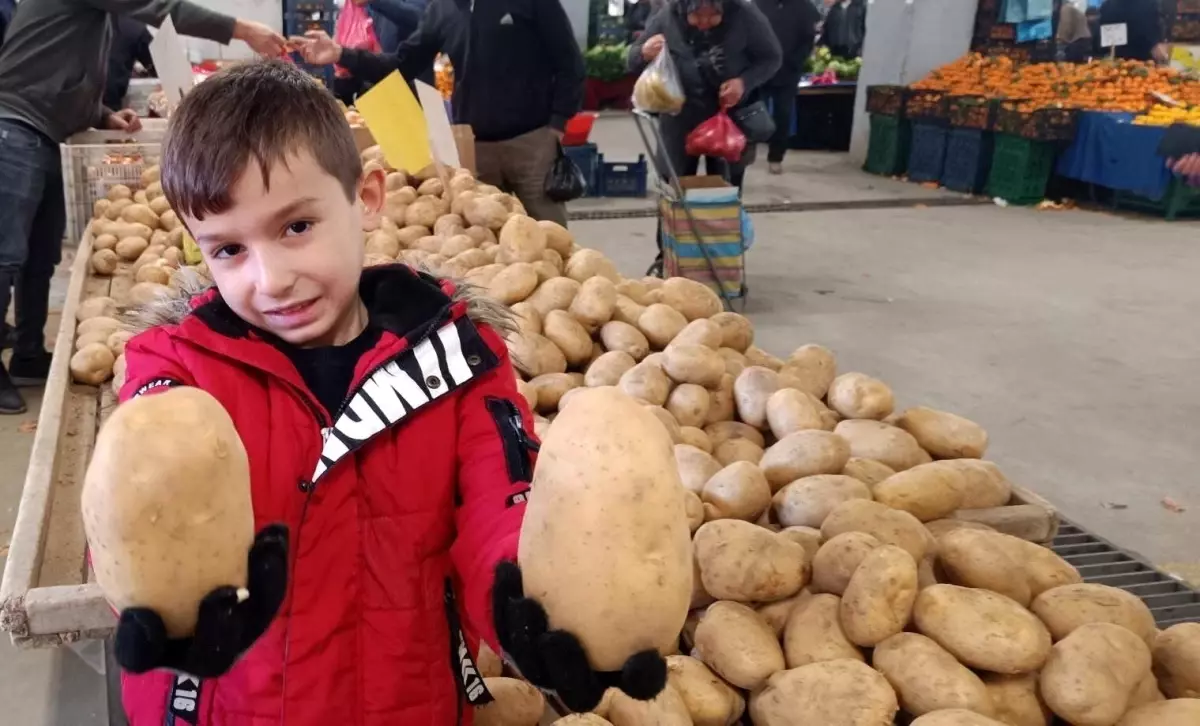 Sarıgöl Pazarı'nda Dev Patatesler İlgi Görüyor