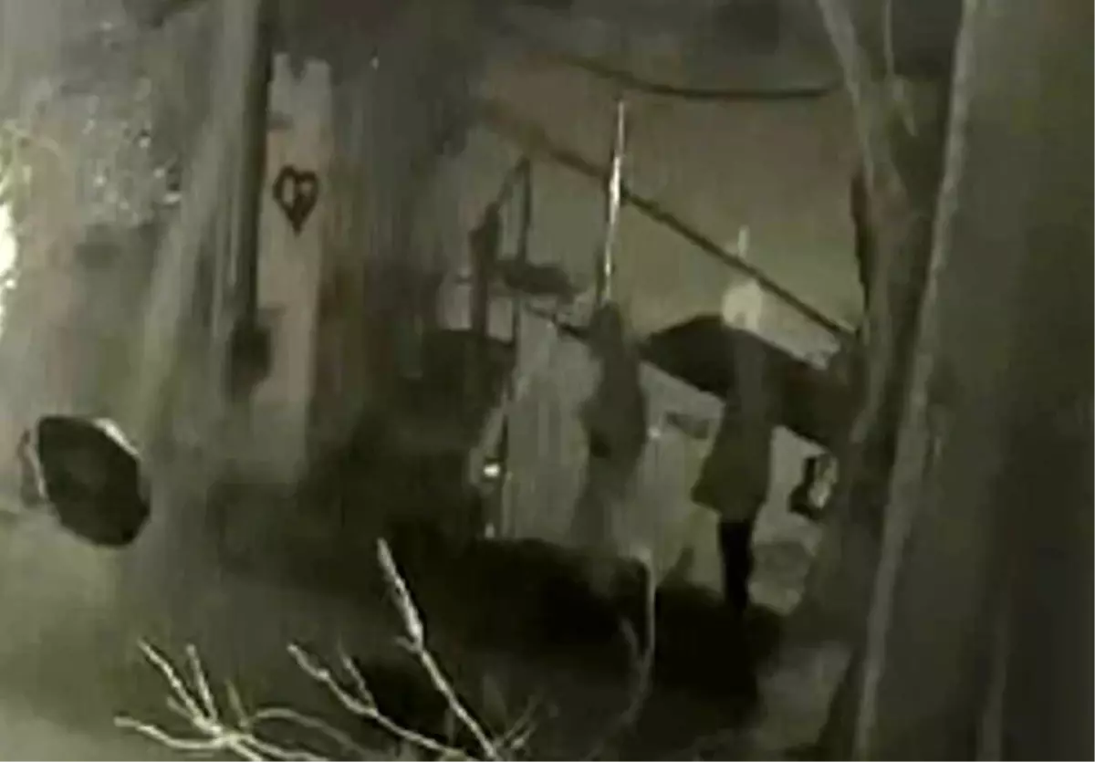 Sarıyer'de alkollü şahıslar keşif yaptıkları iş yerine silahla ateş açtı