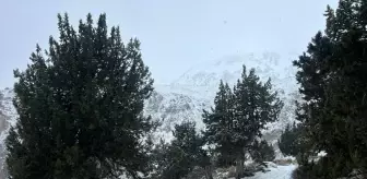 Antalya'nın Kaş ilçesinin yüksek kesimlerine kar yağdı