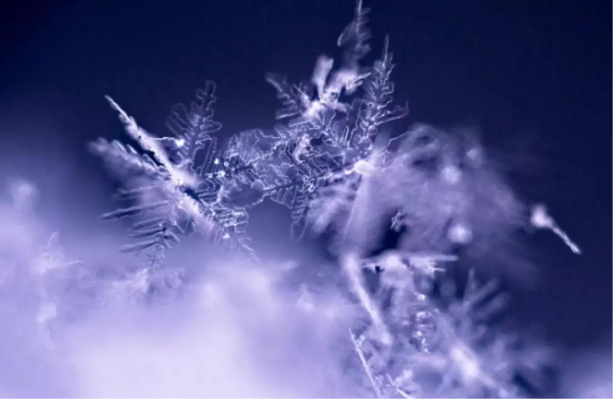 Ardahan okullar tatil mi, 12 Ocak Pazartesi Ardahan'da yarın okul yok mu (ARDAHAN VALİLİĞİ - KAR TATİLİ)?