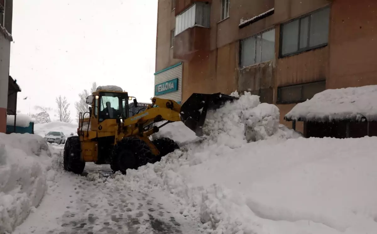 Bitlis'te kapanan 111 köy ve mezra yolundan 89'u açıldı