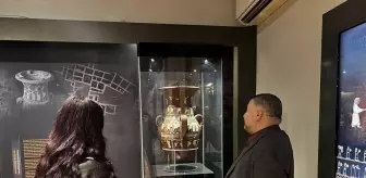 Çankırı Müzesi'ndeki milyon yıllık fosiller geçen yıl 39 bine yakın ziyaretçi çekti