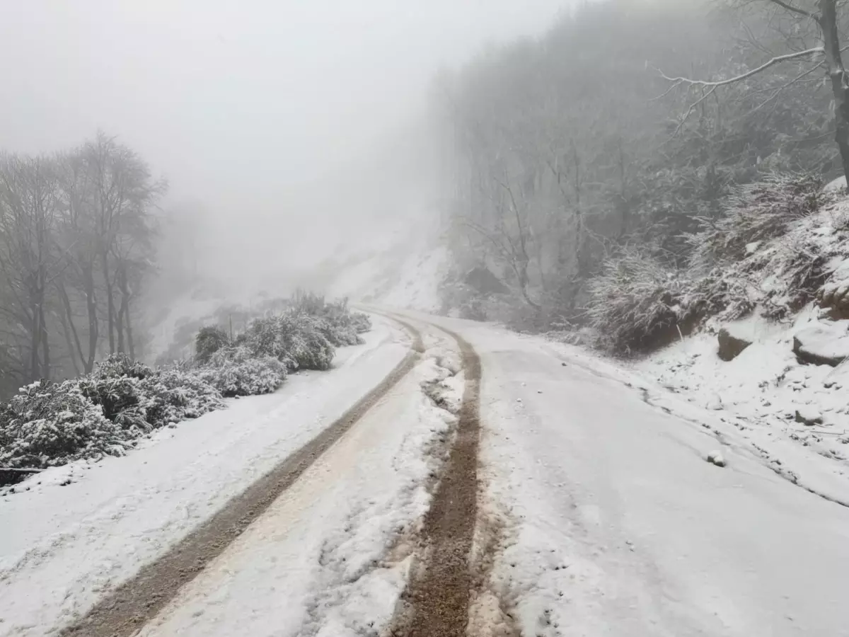 Erdek'te Kar Yağışı Etkili Oldu
