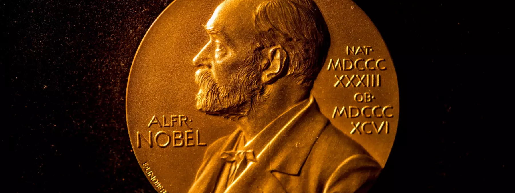 Norveç Nobel Komitesi: Barış Ödülü devredilemez