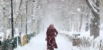 Tunceli okullar tatil mi, 12 Ocak Pazartesi Tunceli'de yarın okul yok mu (TUNCELİ VALİLİĞİ - KAR TATİLİ)?