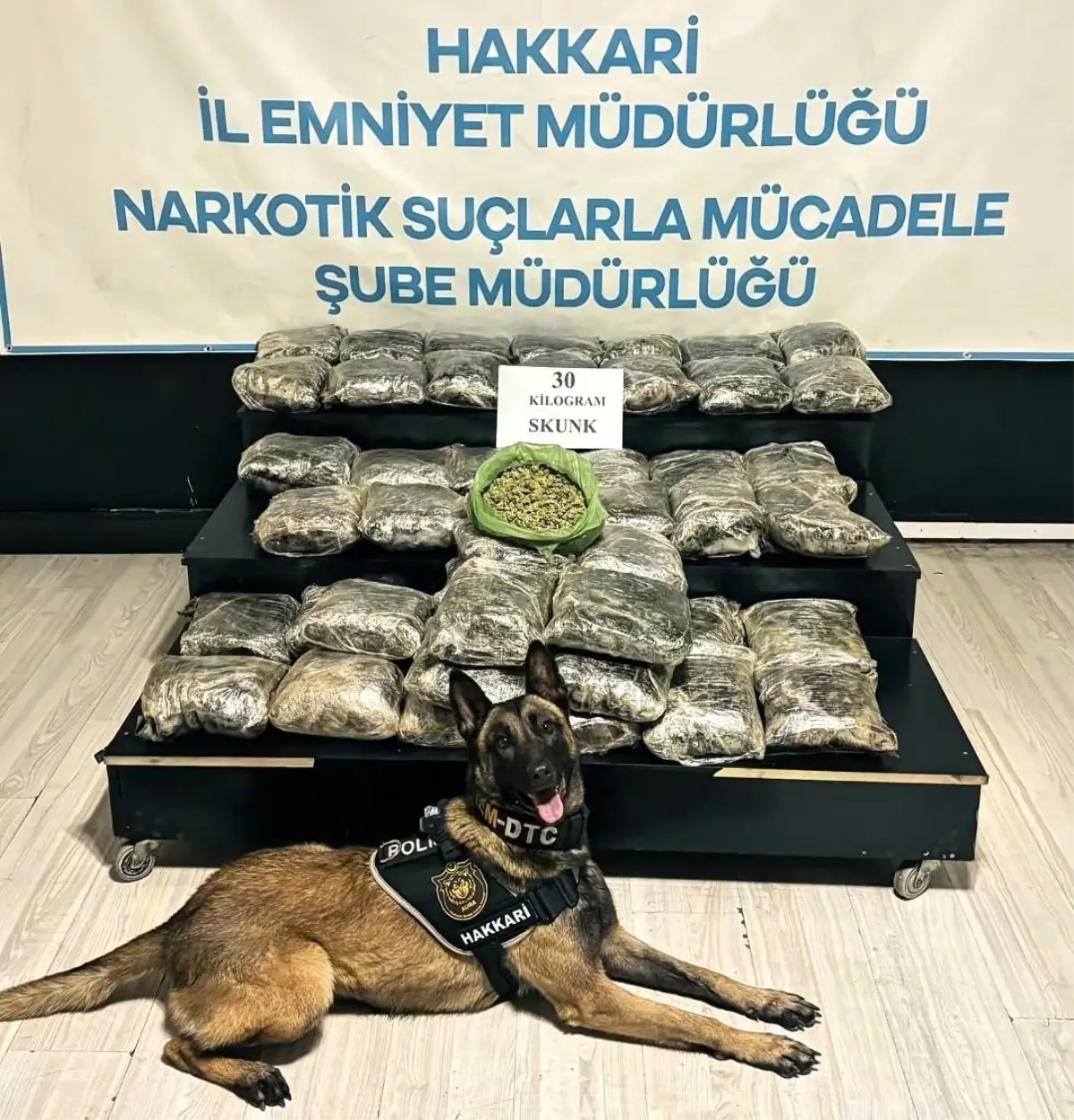 Yüksekova'da 30 kilo Skunk ele geçirildi: 2 şüpheli gözaltında
