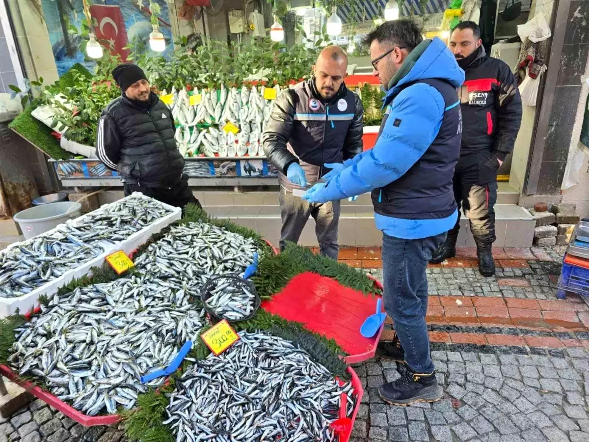 Balık tezgâhları yakın takipte