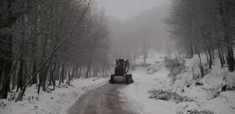 Biga'da kar yağışı nedeniyle kapanan köy yolları ulaşıma açıldı