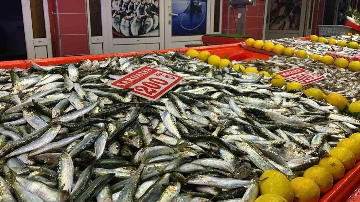 Bolu'da balık tezgahlarını fırtına vurdu
