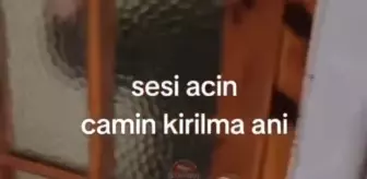 Cinnet geçiren kadın, ev arkadaşına saldırdı