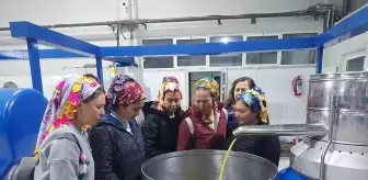 Edremit'te kadınlar tarafından kooperatif kuruldu