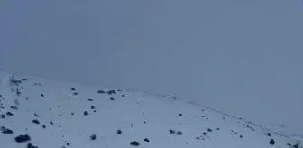 Gümüşhane-Erzincan kara yolu kar yağışı nedeniyle trafiğe kapatıldı