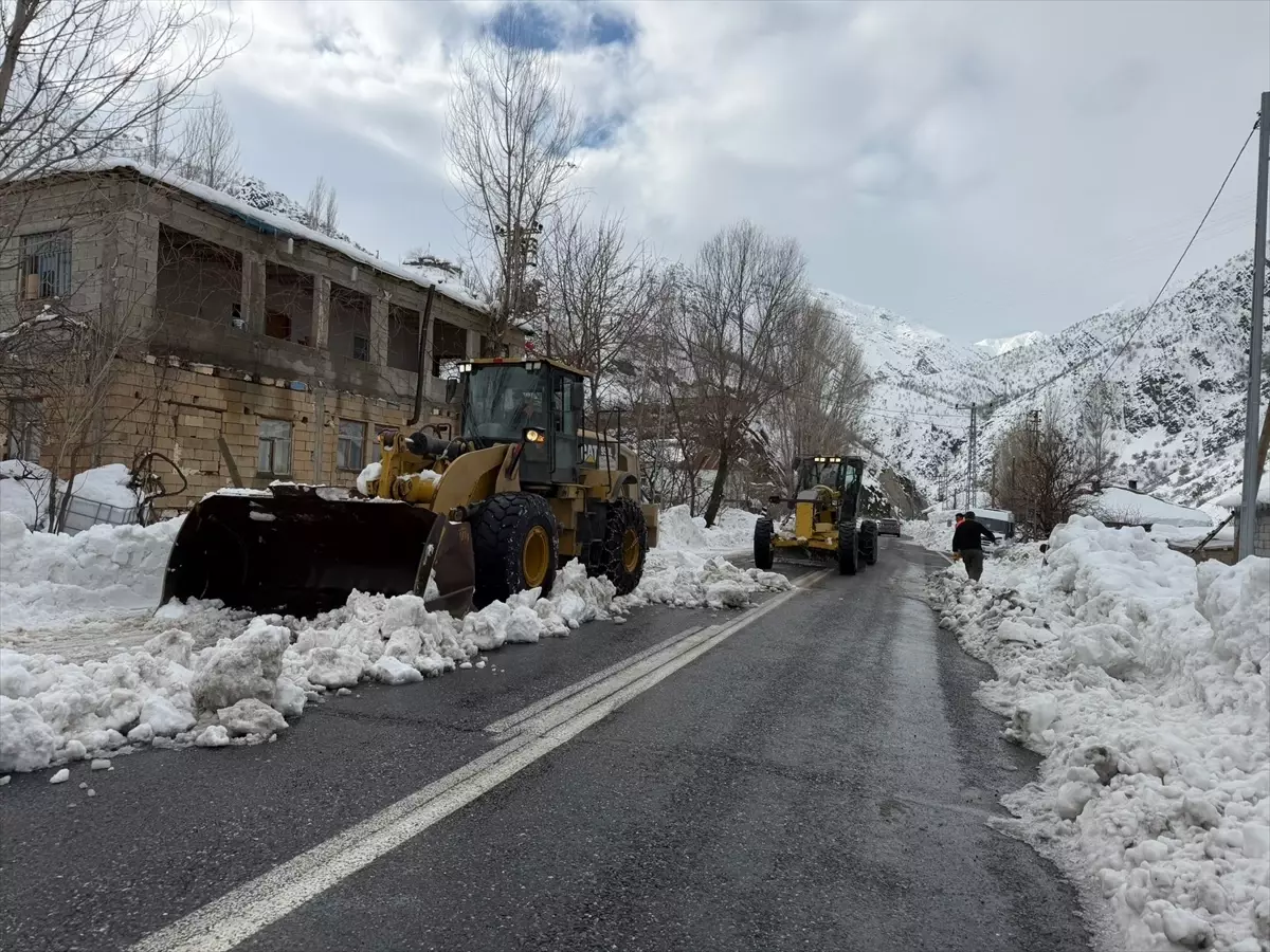 Hakkari-Şırnak kara yoluna düşen çığlar temizlendi