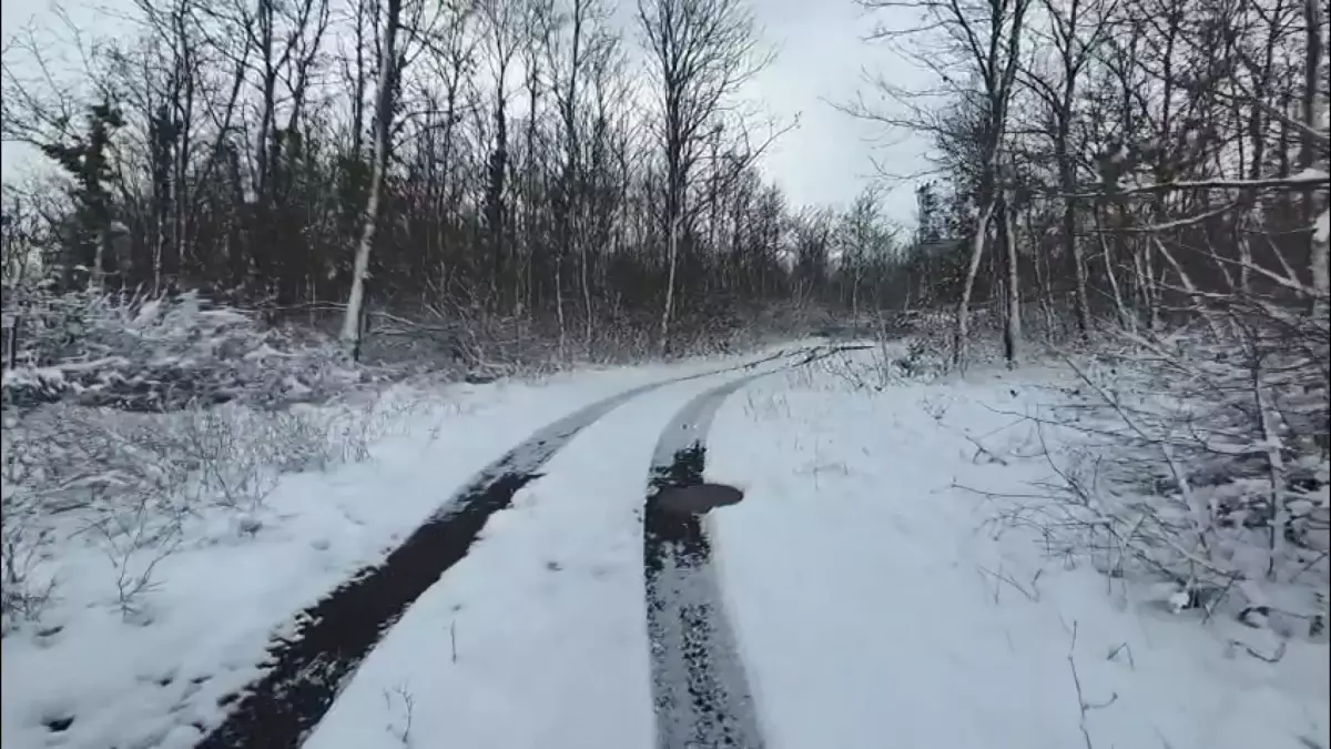 İstanbul'da kar yağışı etkili oluyor