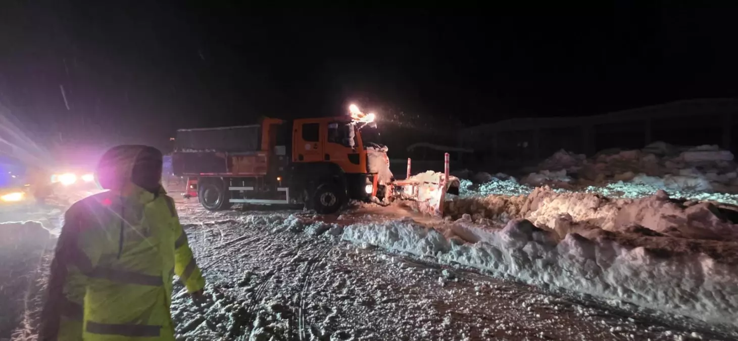 Kahramanmaraş'ta Kar Yağışı: 3 Ahırın Çatısı Çöktü, 65 Hayvan Öldü