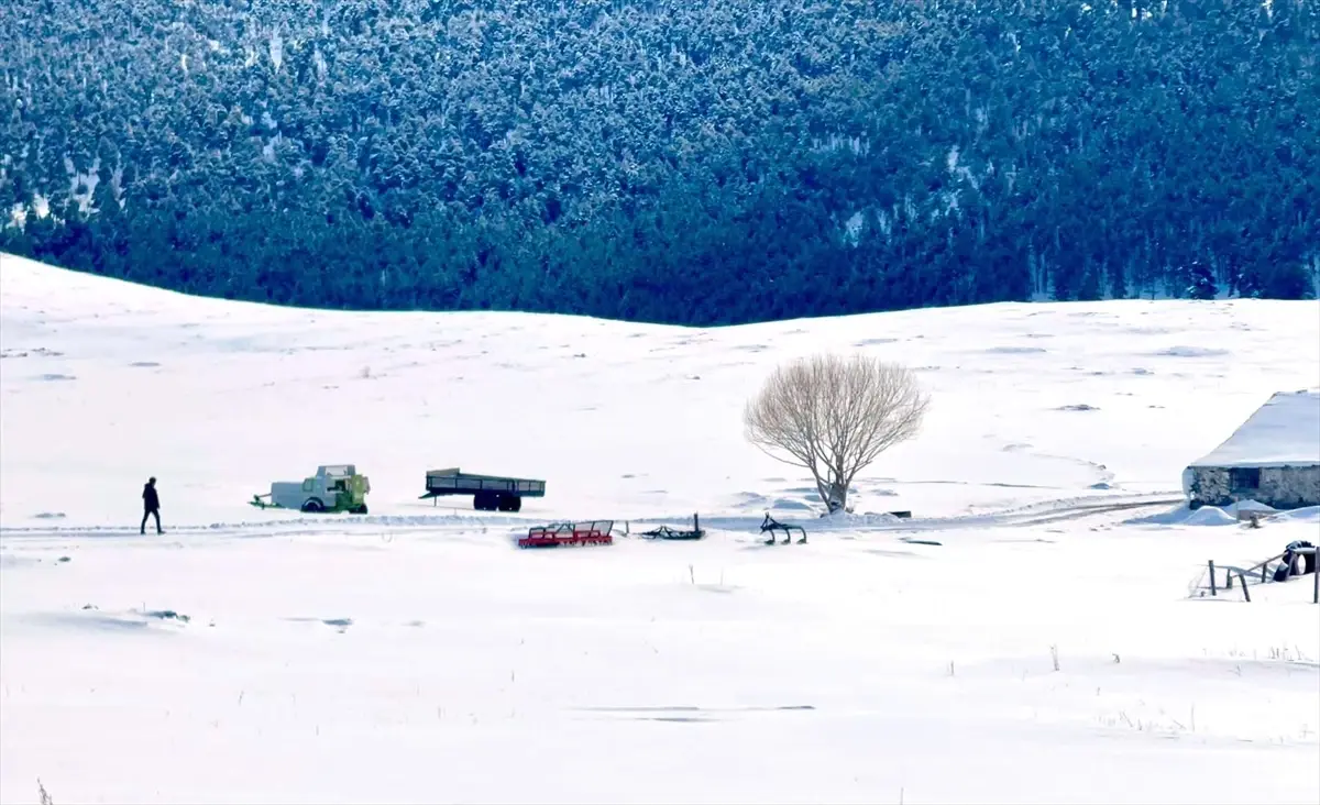 Kar yağışı beklenen Doğu Anadolu'da soğuk hava etkili oluyor
