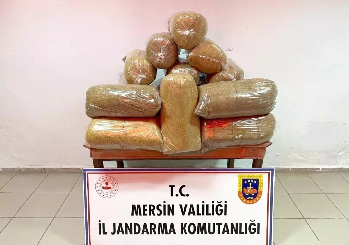 Mersin'de 100 kilo kaçak tütün ele geçirildi, 1 kişi gözaltına alındı