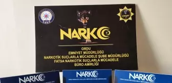 Ordu'da uyuşturucu operasyonunda yakalanan 2 şüpheli tutuklandı