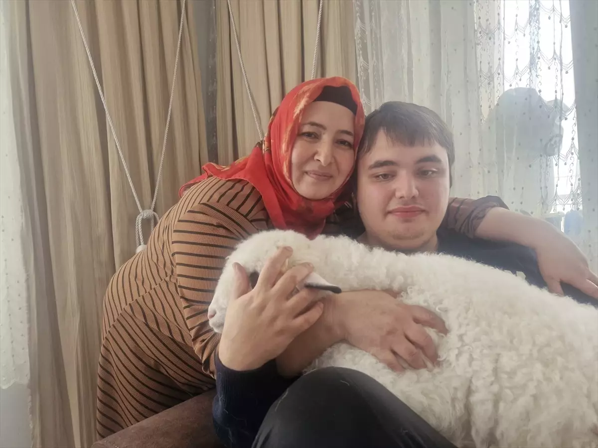 Otizmli oğlunun isteği üzerine aldıkları kuzuya evde bebek gibi bakıyorlar
