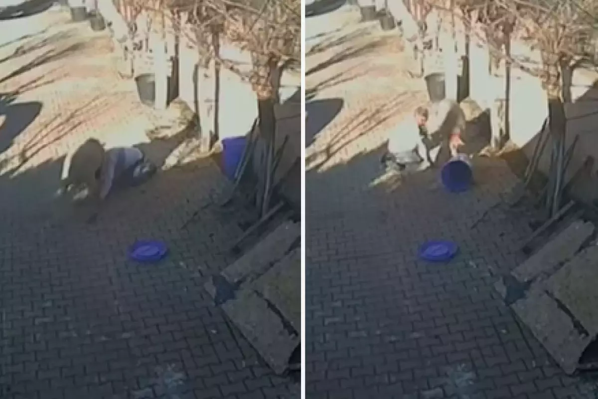 Silivri'de sahibine dakikalarca saldıran koç kamerada