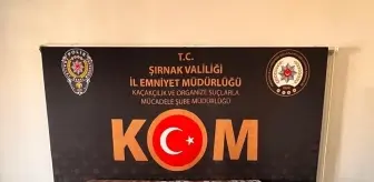 Şırnak'ta kaçakçılık operasyonlarında 1 zanlı tutuklandı