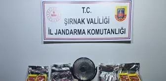 Şırnak'ta kaçakçılık ve asayiş operasyonlarında 111 şüpheli hakkında işlem yapıldı
