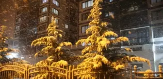 Tokat'ta kar yağışı etkili oluyor