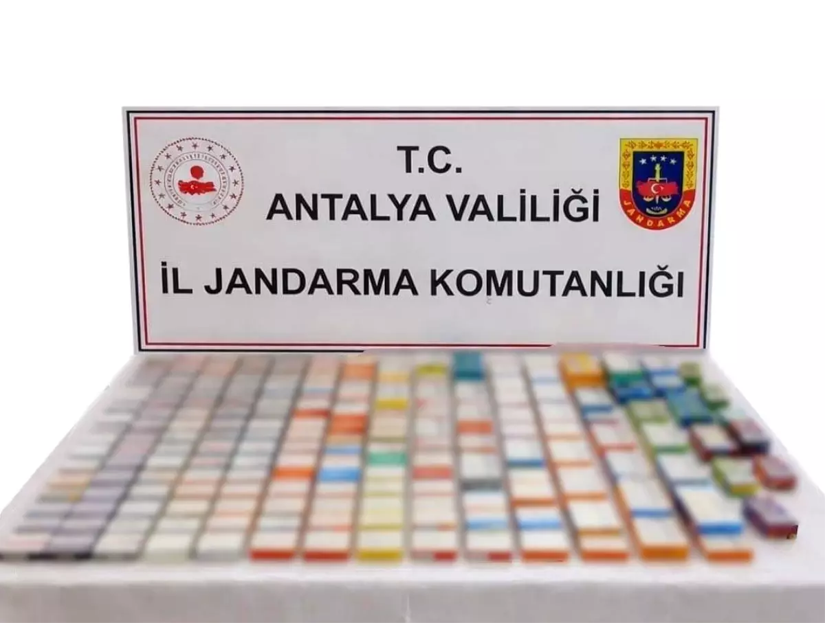 Alanya'da kaçakçılığa jandarmadan çifte operasyon