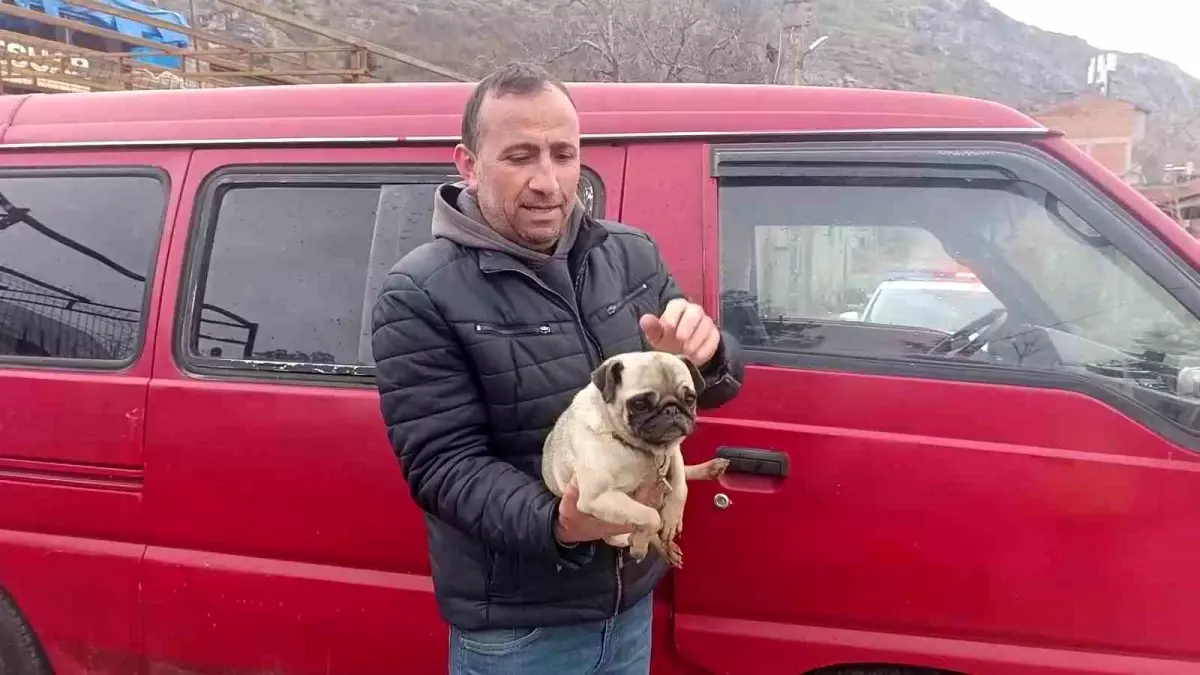 Amasya'da yangında mahsur kalan köpeği muhtar kurtardı
