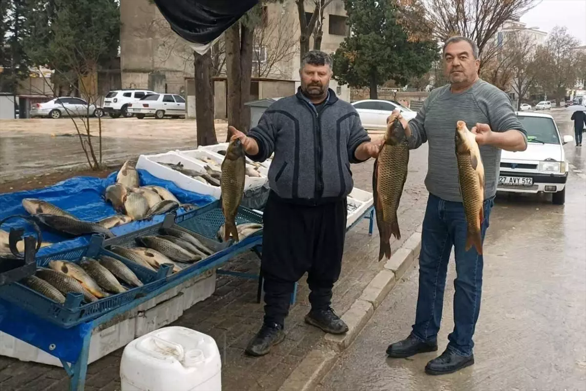 Araban'da soğuk havayla birlikte Fırat balığına talep arttı