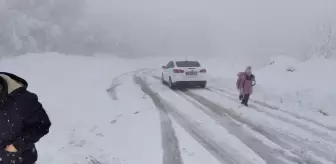 Ayvacık'ta karla mücadele çalışmaları sürüyor