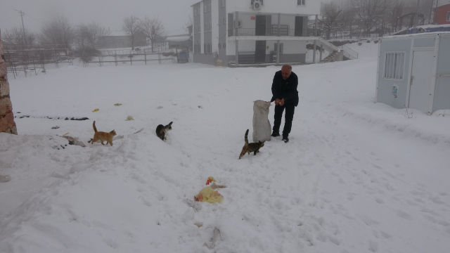 bu koyde sadece muhtar yasiyor tek nedeni var 19455644 6239 m