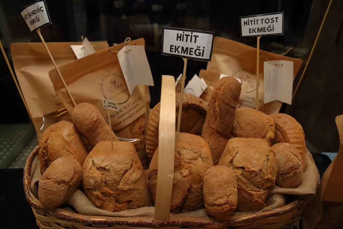 Çorum "gastronomi şehri" olmaya hazırlanıyor