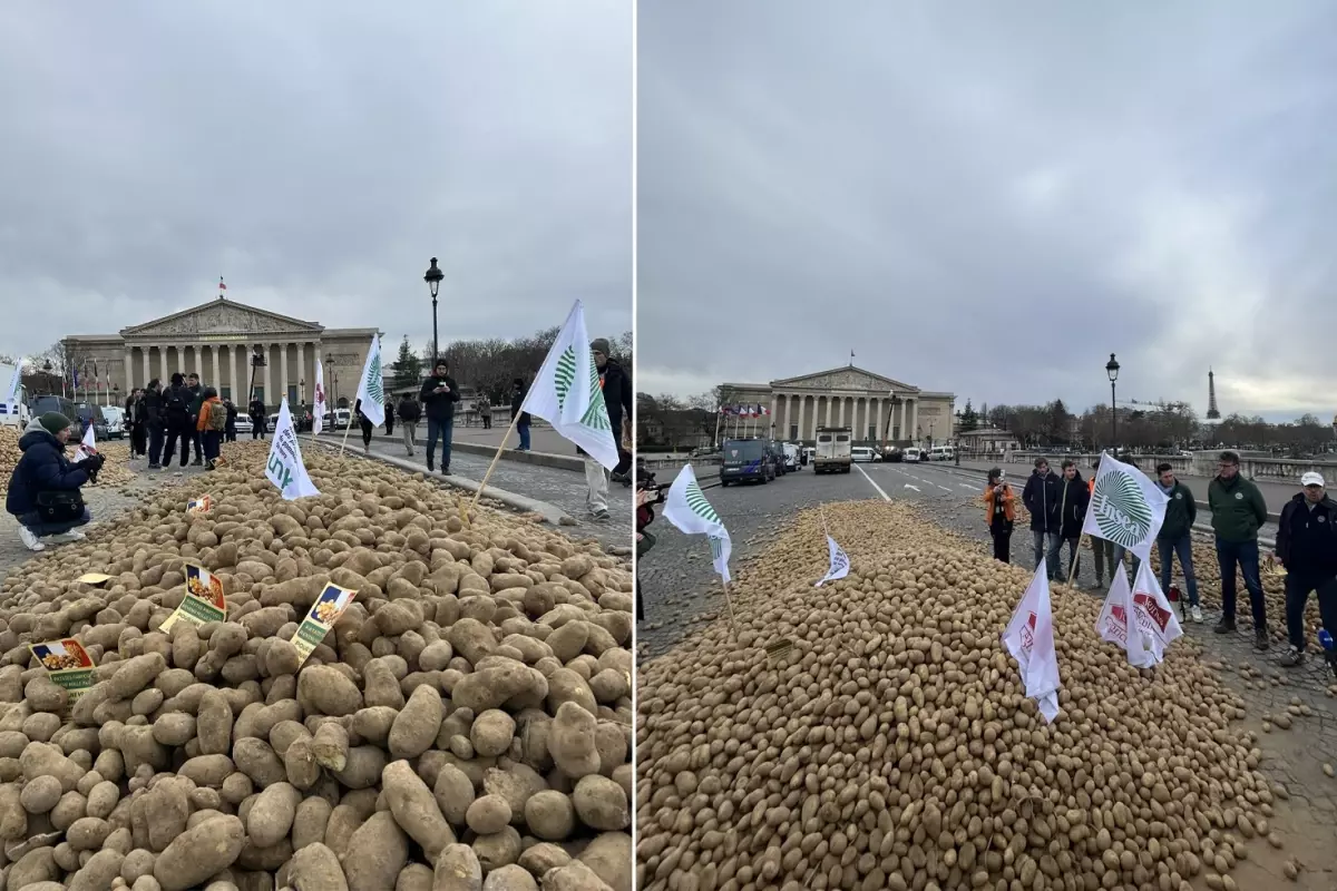 Fransa'da çiftçilerden sert protesto: Meclisin önüne 30 ton patates döktüler