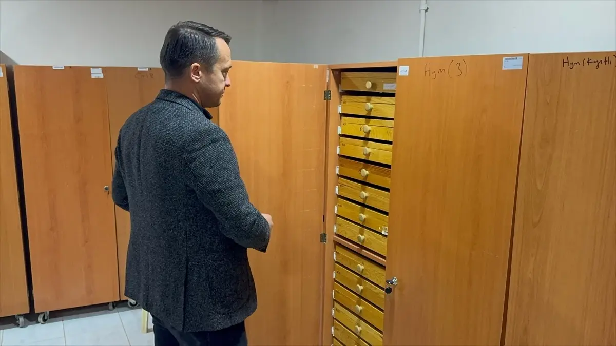 Isparta'daki Böcek Müzesi bilime ve doğa farkındalığına katkı sunuyor