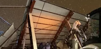 Kahramanmaraş'ta kar nedeniyle çatısı çöken besi ahırında 18 büyükbaş telef oldu