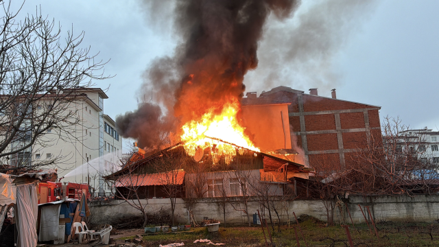 kediler usumesin diye yakilan soba faciaya 19458838 7628 m