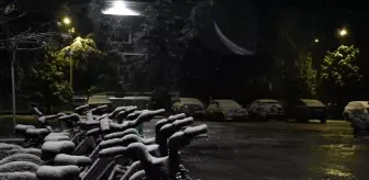 Sakarya'da kar yağışı etkili oluyor