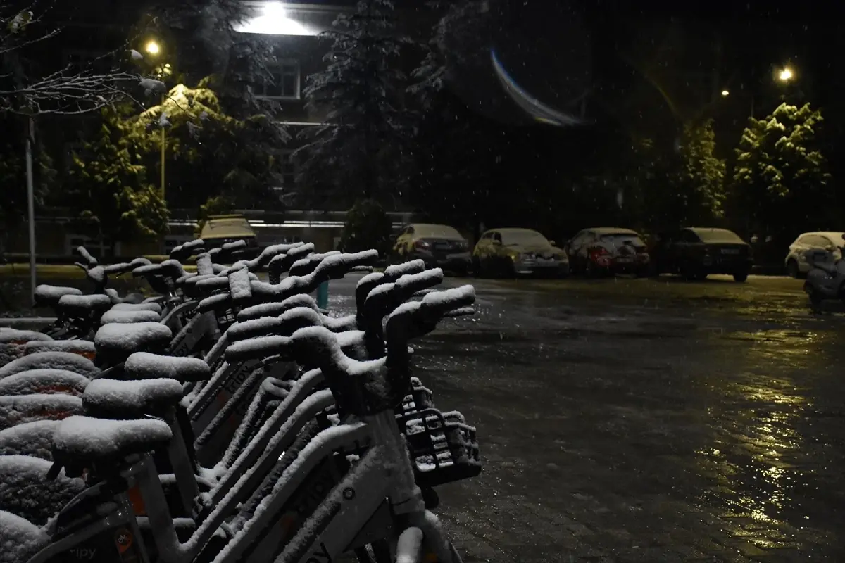 Sakarya'da kar yağışı etkili oluyor