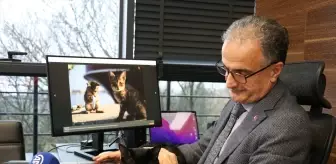 Sakarya Üniversitesi Rektörü Prof. Dr. Al, AA'nın 'Yılın Kareleri' oylamasına katıldı