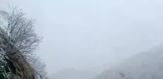 Şalpazarı'nda heyelan meydana geldi