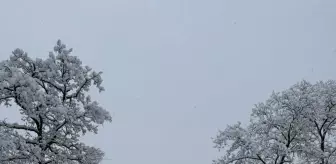 Samsun'da kar etkili oluyor