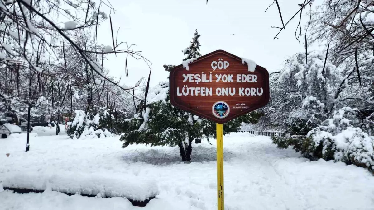 Tunceli'de yoğun kar yağışı etkili oldu